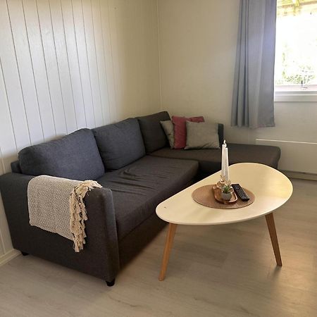 Studio Apartment In The Center Of Alta Extérieur photo